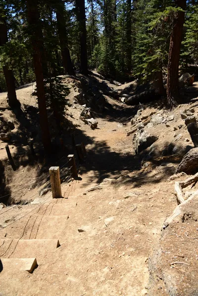 DSC_9969 (Large).JPG